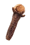 krambu